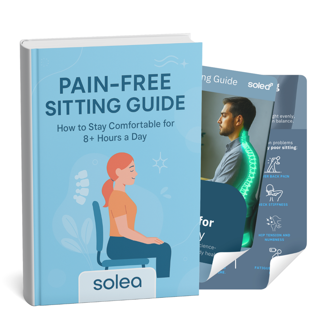 The Secret of Pain-Free Sitting (e-Book)
