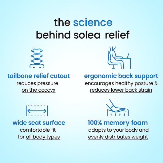 Easee+ Relief Cushion