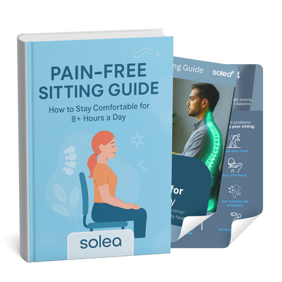 The Secret of Pain-Free Sitting (e-Book)