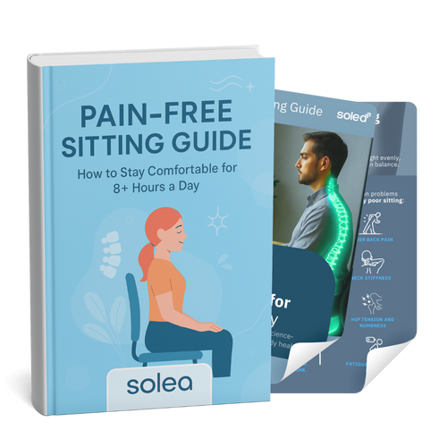The Secret of Pain-Free Sitting (e-Book)