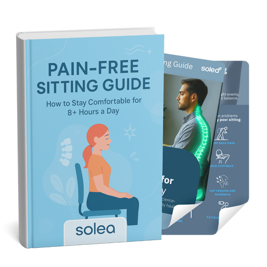 The Secret of Pain-Free Sitting (e-Book)